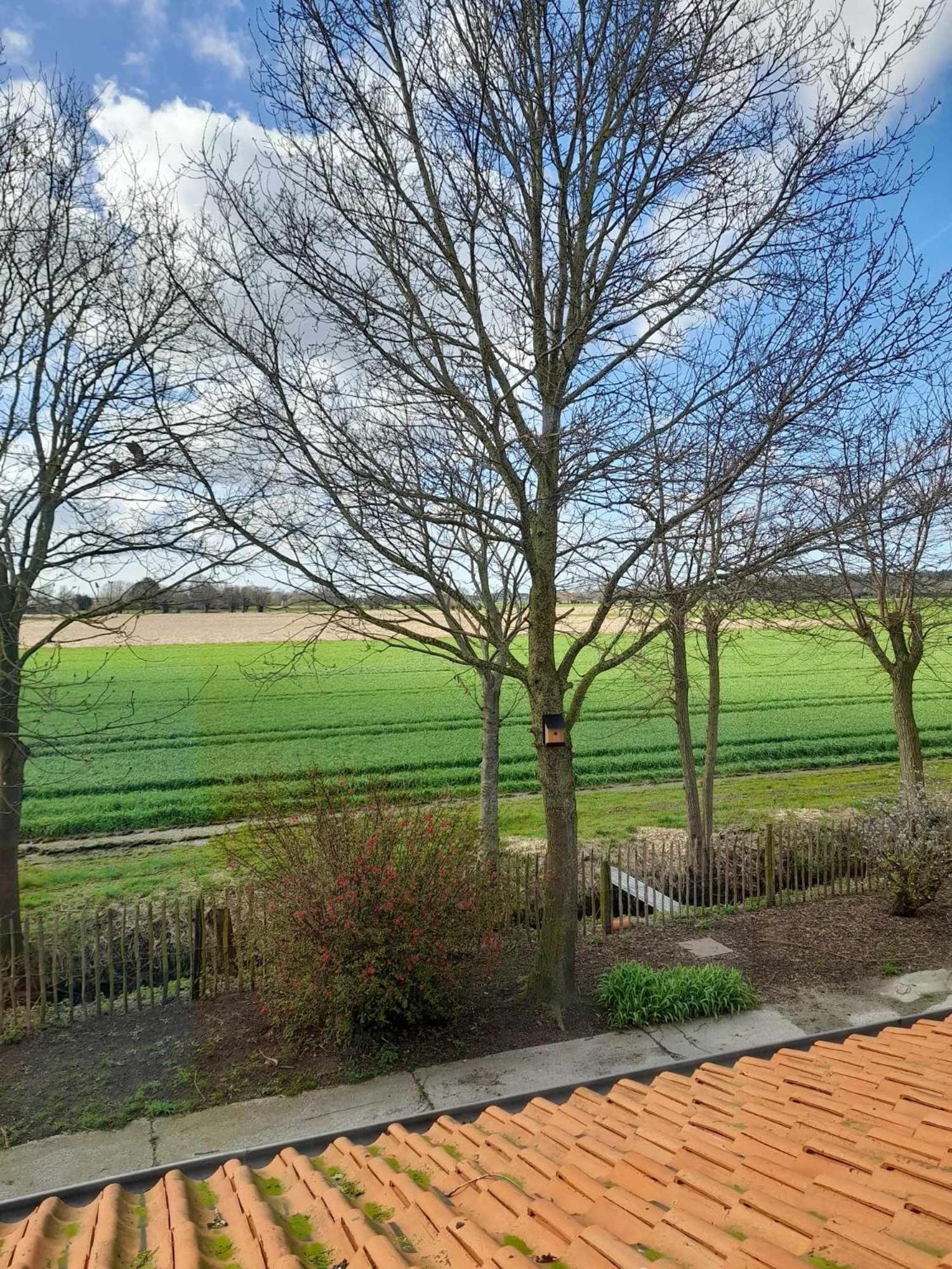 Villa Wilgenwind Sijsele Exterior foto