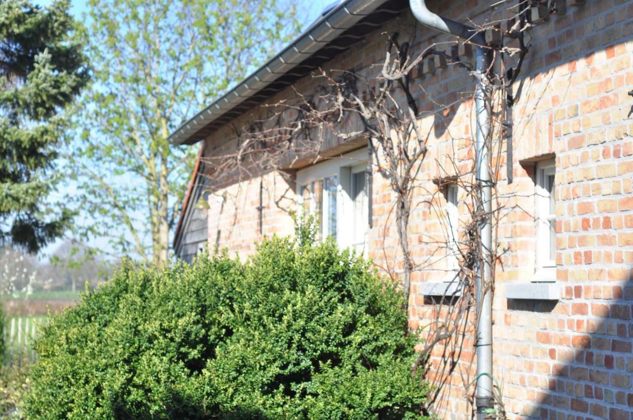 Villa Wilgenwind Sijsele Exterior foto